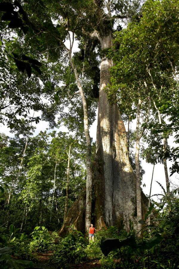 Misahualli Amazon Lodge Exterior photo