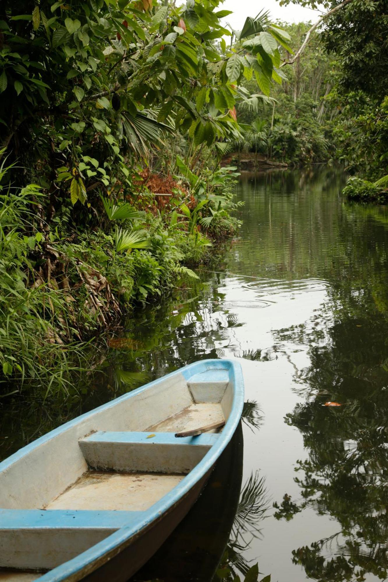 Misahualli Amazon Lodge Exterior photo